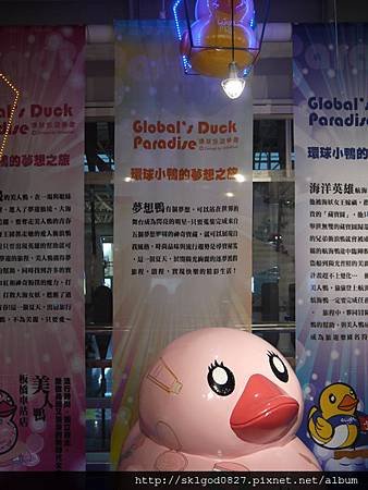 P1190675.JPG