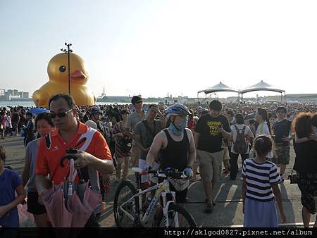 P1190586.JPG