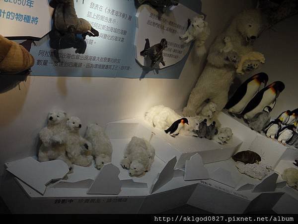 P1230155.JPG
