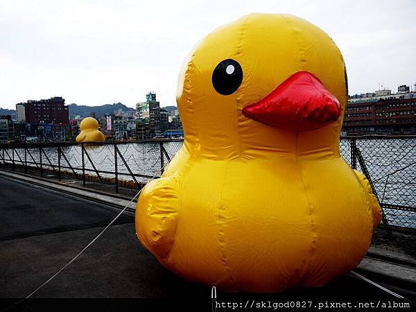 P1260570.jpg