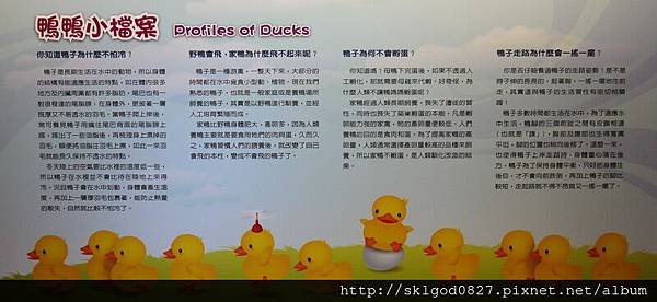 P1260740.jpg