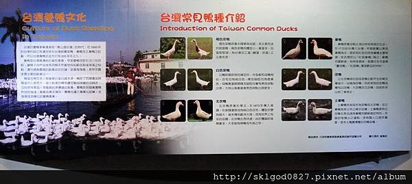 P1260742.jpg
