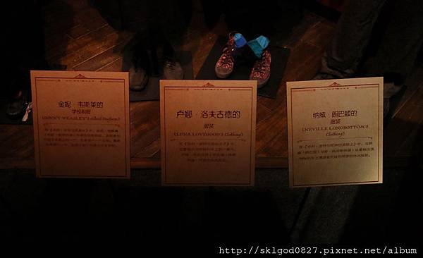IMG_8175.jpg
