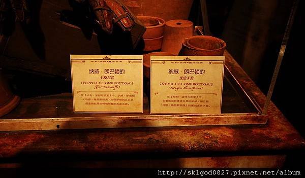 IMG_8217.jpg