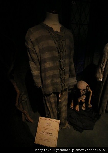 IMG_8286.jpg