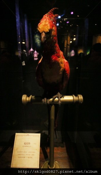 IMG_8363.jpg
