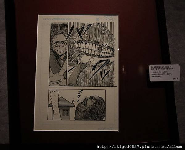 IMG_9647.jpg