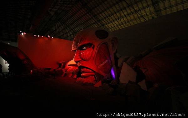 IMG_9735.jpg