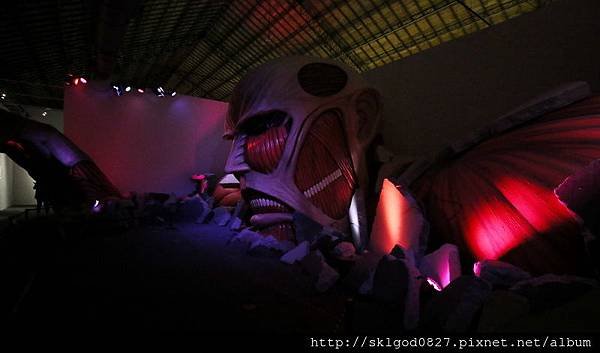 IMG_9737.jpg