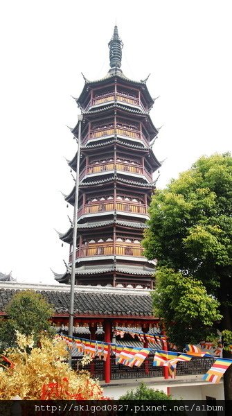 IMG_3325.jpg