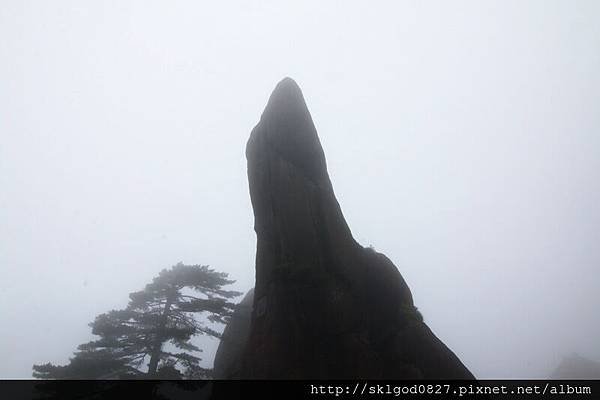 IMG_9185.jpg