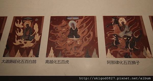 IMG_1161.jpg