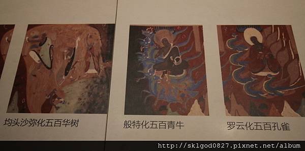 IMG_1159.jpg