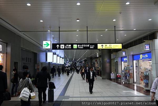 P1180435.jpg