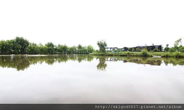IMG_7537.jpg