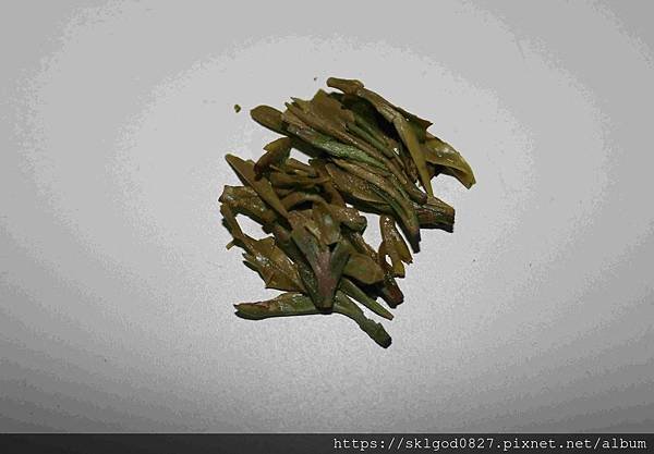 IMG_2602_compressed.jpg