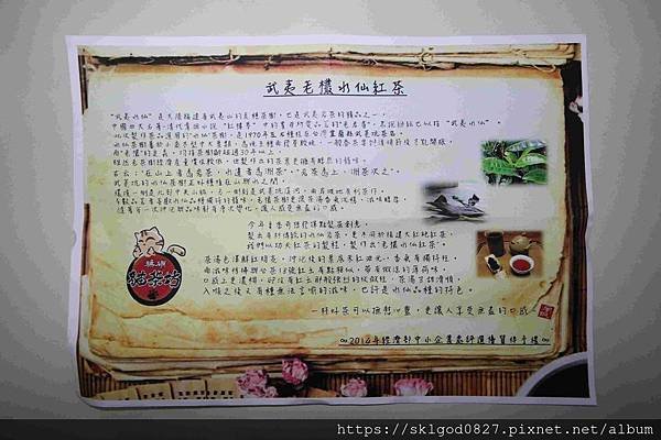 IMG_8520_compressed.jpg