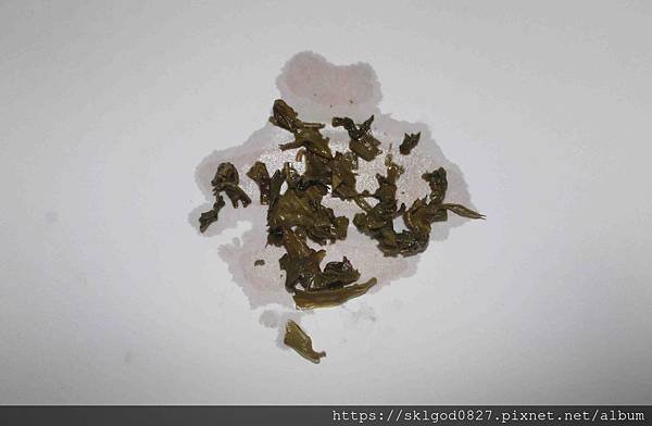 IMG_1405_compressed.jpg