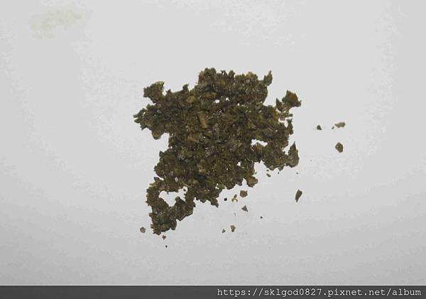 IMG_9035_compressed.jpg