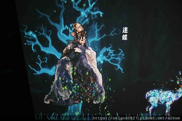 IMG_0729_compressed.jpg