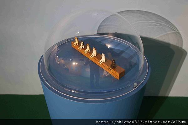 IMG_5193_compressed.jpg