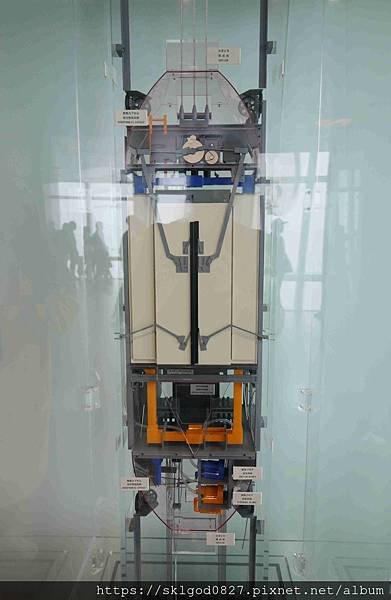 IMG_7461_compressed.jpg