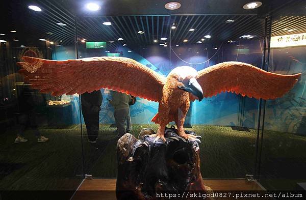 IMG_7491_compressed.jpg
