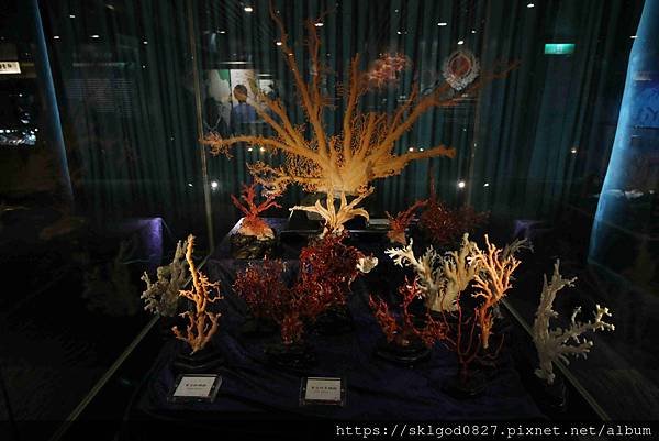 IMG_7493_compressed.jpg