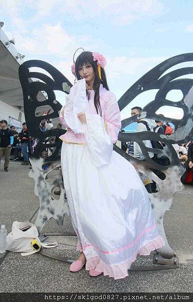 IMG_6959_compressed.jpg