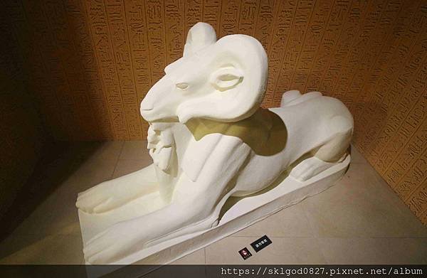 IMG_7994_compressed.jpg