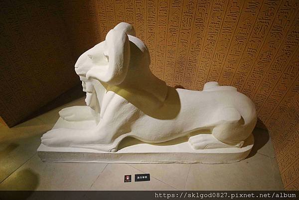 IMG_7995_compressed.jpg