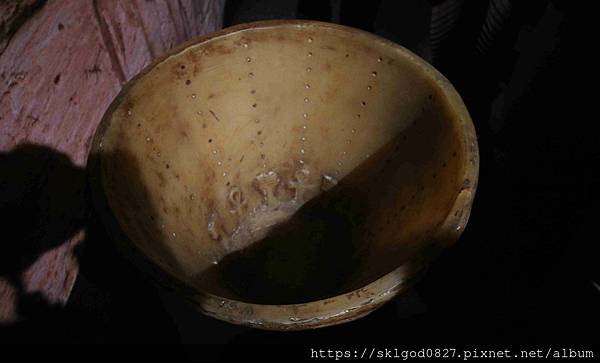 IMG_8020_compressed.jpg