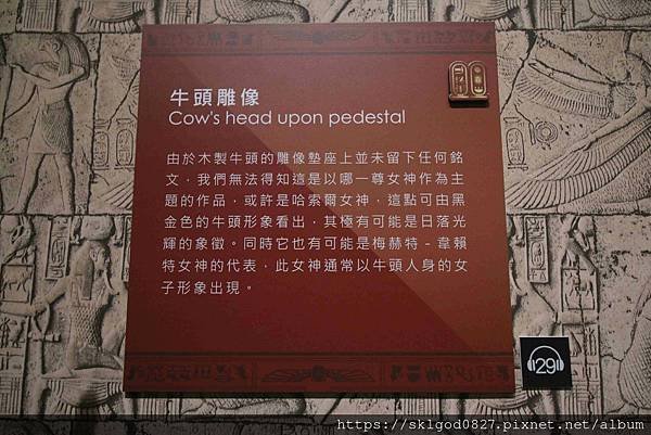 IMG_8143_compressed.jpg