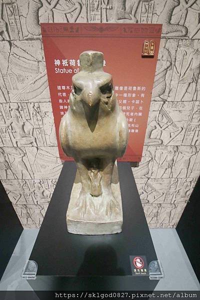 IMG_8147_compressed.jpg