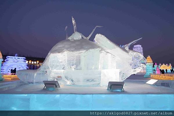 IMG_9151_compressed.jpg