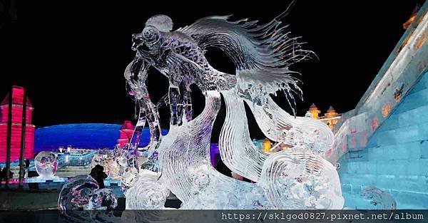 IMG_E6740_compressed.jpg