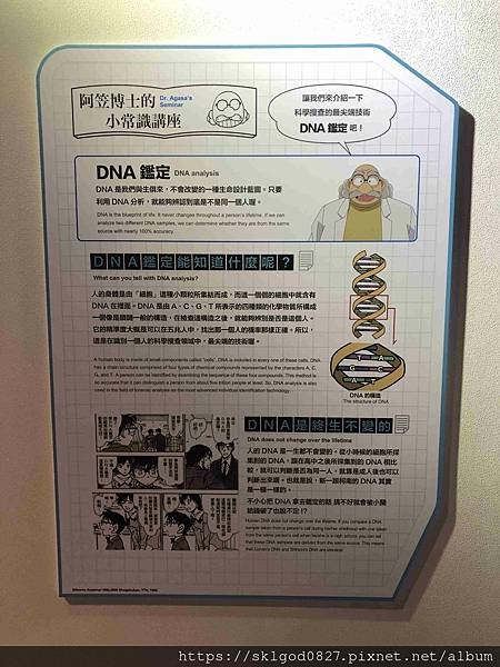IMG_3162_compressed.jpg