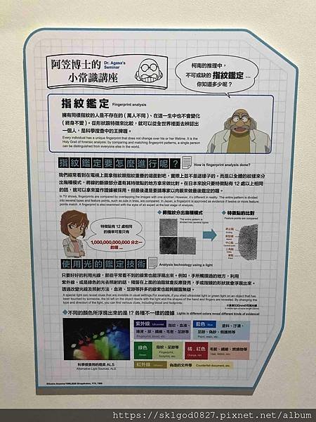 IMG_3183_compressed.jpg