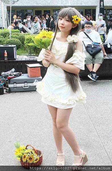 IMG_0822_compressed.jpg