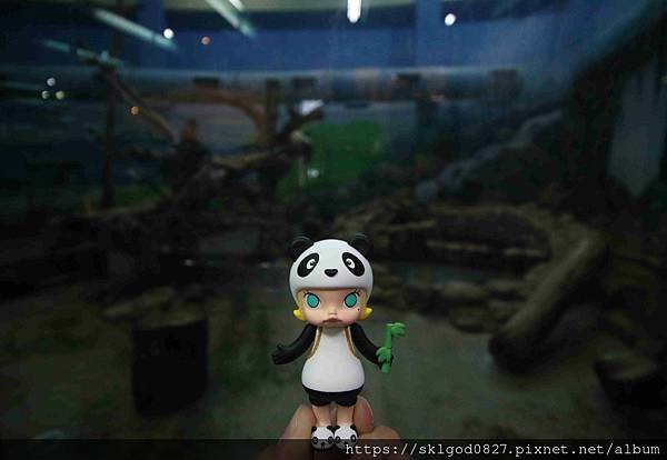 IMG_2161_compressed.jpg