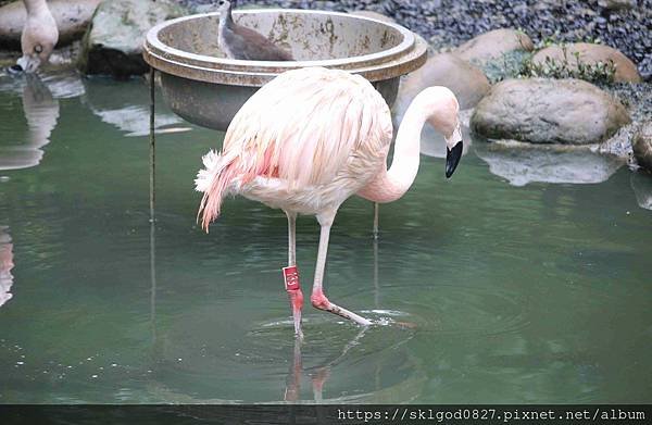 IMG_2220_compressed.jpg