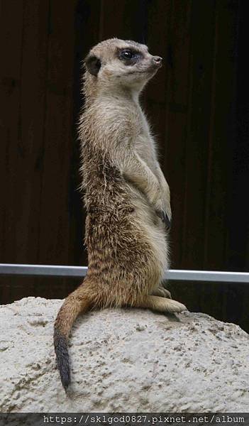 IMG_2322_compressed.jpg