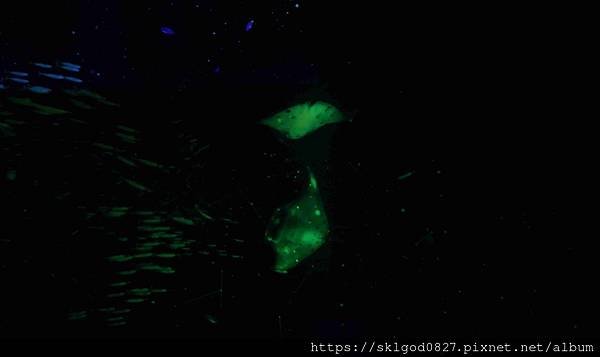 IMG_2344_compressed.jpg