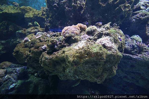 IMG_2356_compressed.jpg