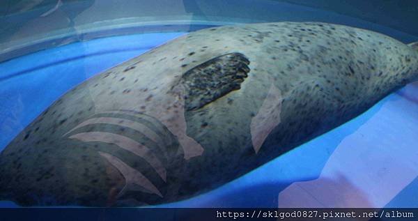 IMG_2388_compressed.jpg