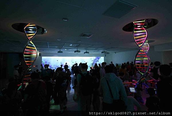 IMG_2395_compressed.jpg