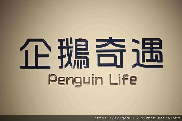IMG_2416_compressed.jpg