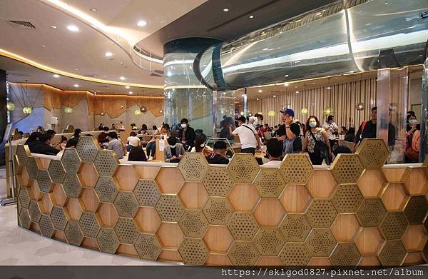 IMG_2434_compressed.jpg