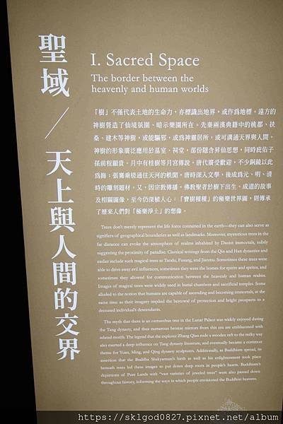 IMG_5182_compressed.jpg