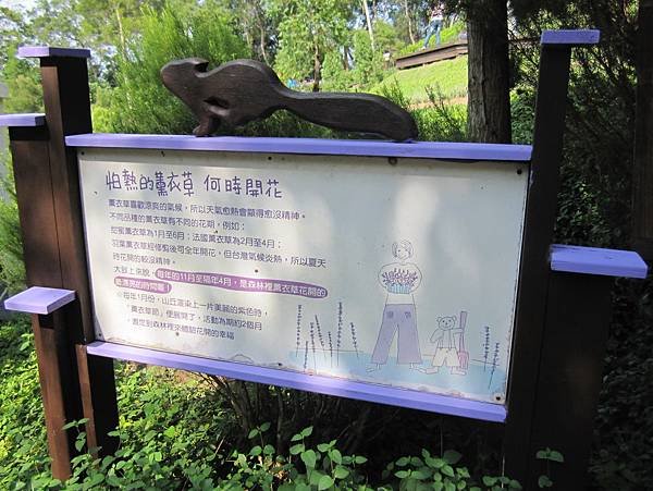 IMG_8824.jpg